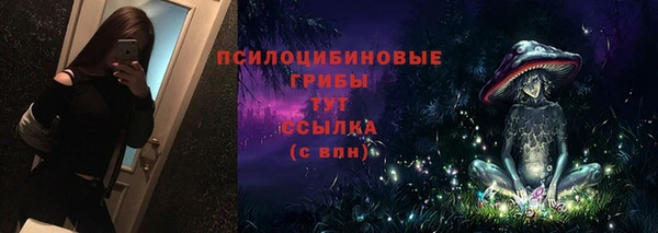 спайс Карпинск