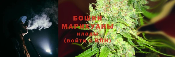 сатива Карталы