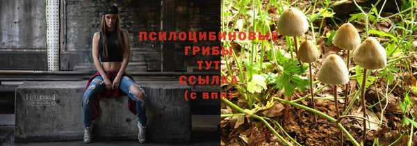 сатива Карталы