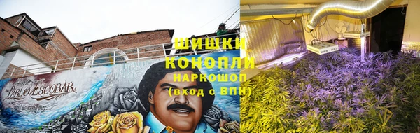 спайс Карпинск