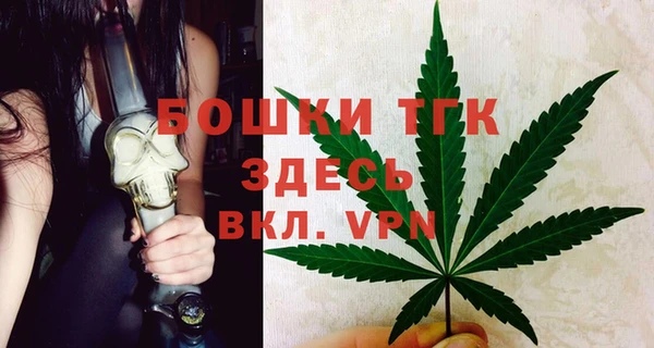 сатива Карталы