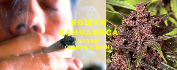 сатива Карталы