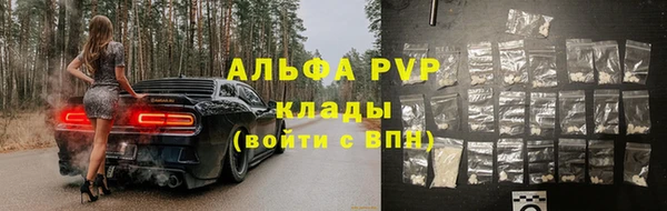 сатива Карталы