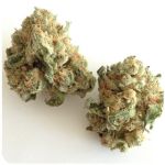 Шишки "White Widow"  (Белая вдова)  Гидропоника -  Бошка VHQ в Ковдоре